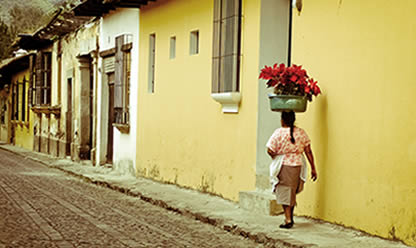 Tour a LEGADO MAYA 2025 en español | Tours a todo el mundo Tour a LEGADO MAYA 2025 en español | Tours a todo el mundo