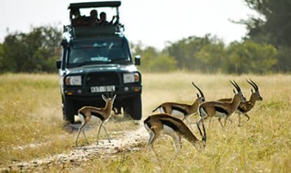 Viajes a SUDÁFRICA IMPRESCINDIBLE Y CATARATAS VICTORIA CON CHOBE 2024 en español | Agencia de Viajes Festival