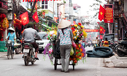 Viajes a NORTE DE VIETNAM CON HOA LU TAM COC 2024 en español | Agencia de Viajes Festival