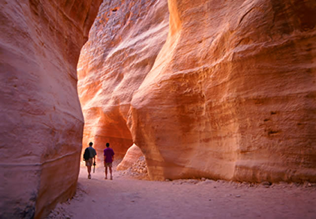 foto del viaje a jordania  en español 2024-2025