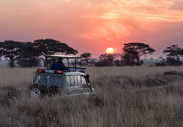 foto del viaje a tanzania en español 2026-2027