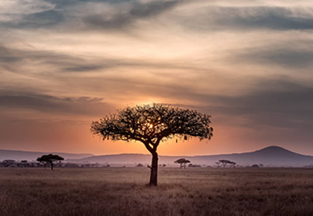 foto del viaje a tanzania en español 2026-2027
